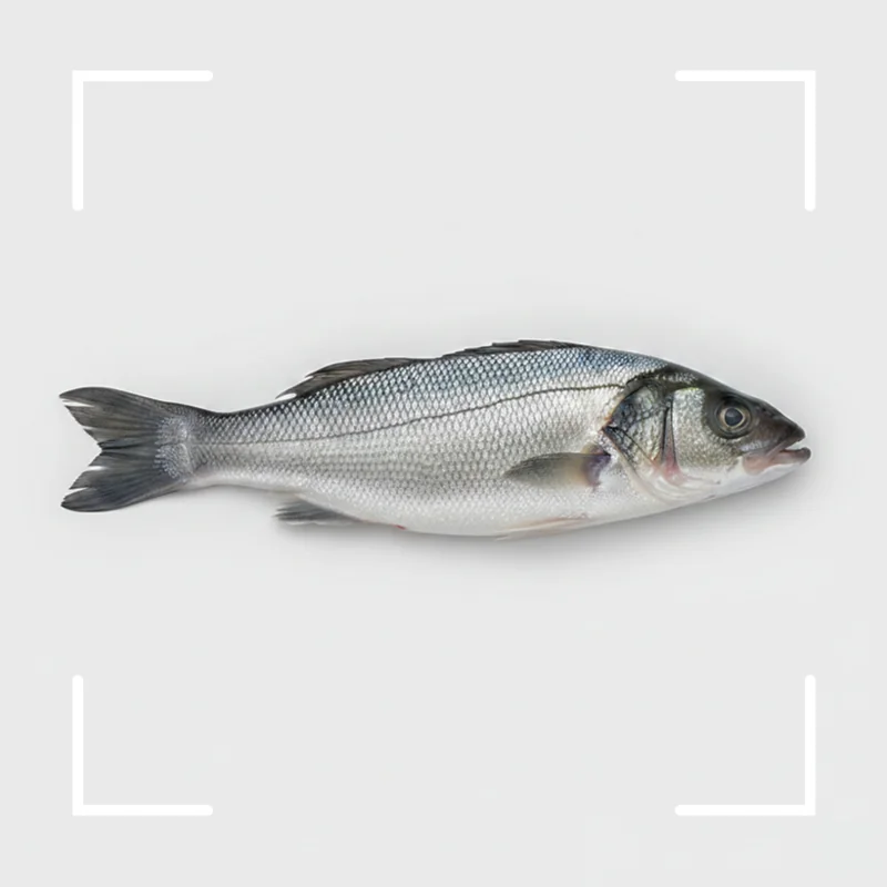 Fish product inspection